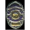 SOUTH PASADENA, CA POLICE DEPARMENT BADGE PIN